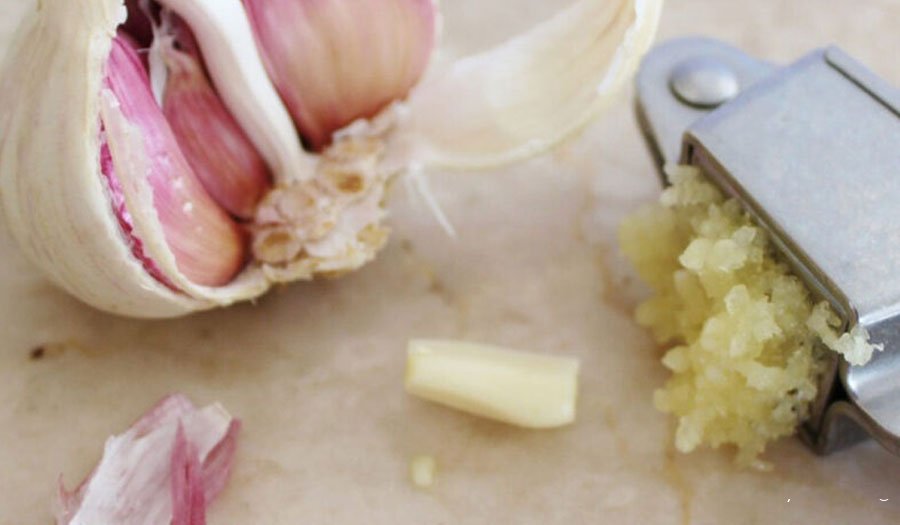 A study determines the response of layer chicks to garlic